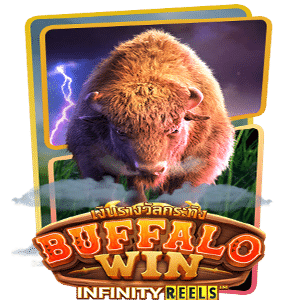 superslot Buffalo Win